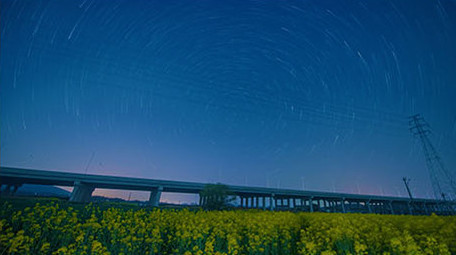 震憾高清油菜花田星空延时4k素材