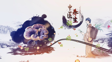 大气水墨片头中国风中医养生图文AE模版