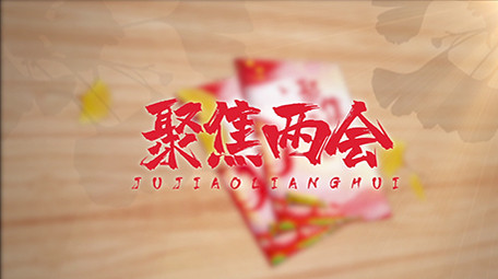 党建翻书效果聚焦两会图文模板