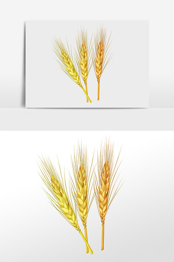 小麦麦子麦秆麦芽