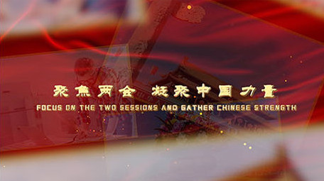 大气红色党政两会图文介绍