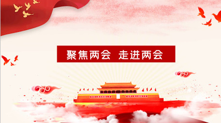 党政两会新闻图文介绍AE模板