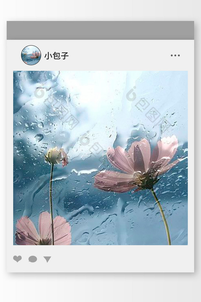 调雨中的花朵头像图片图片