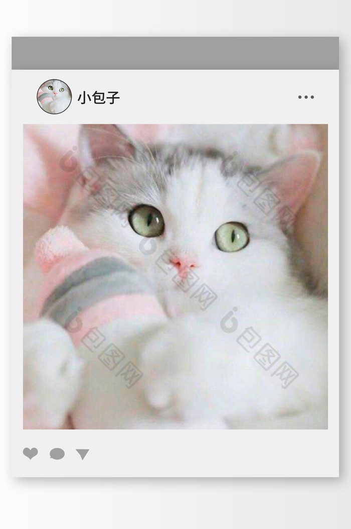 抱奶瓶的小猫头像图片图片