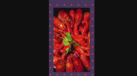 美食<strong>快闪</strong>VLOG片头PR模板