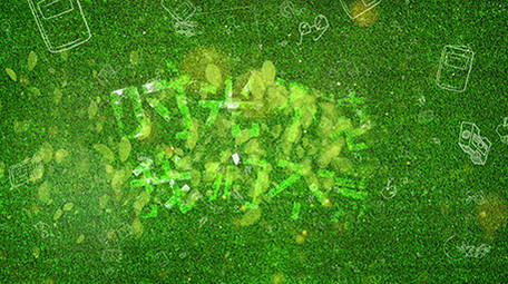 毕业季绿色标题片头片尾AE模板