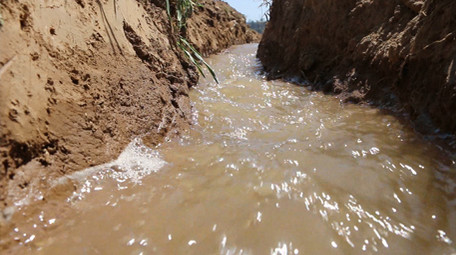 新农村建设水果蔬菜基地农村灌溉农业视频
