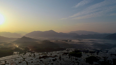 航拍4K梯田晨曦