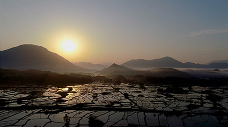 航拍4K梯田晨曦