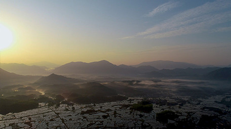 航拍4K梯田晨曦