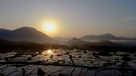 航拍4K梯田晨曦