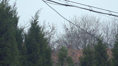 农村乡村渔村空镜头视频素材