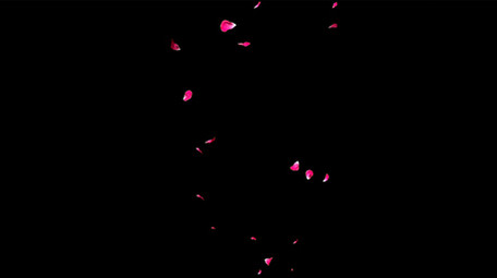 6组抖音快手透明叠加装饰素材