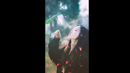 6组抖音快手透明叠加装饰素材