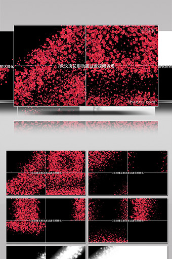 7款玫瑰花瓣动画过渡视频转场效果视频素材图片