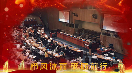 红色大气党政图文宣传会声会影模板