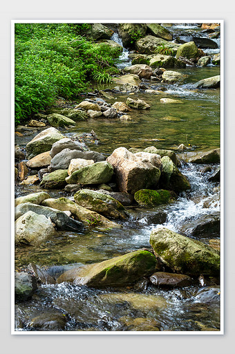 小溪溪流石头溪水夏季