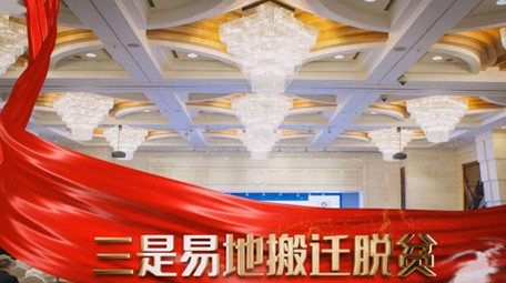 党政飘带精准扶贫共同致富<strong>图文</strong>展示AE模板