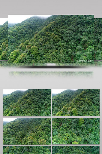 航拍浙江西部山区的森林图片