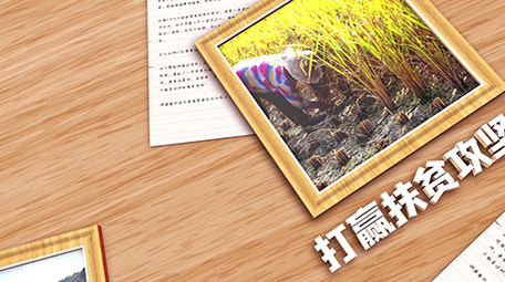 E3D扶贫日记三维画册展示图文模板