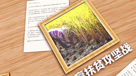 E3D扶贫日记三维画册展示图文模板