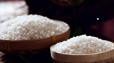 实拍大米晶莹剔透广告宣传视频素材