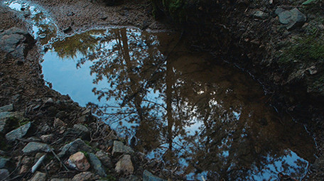 实拍雨季森林泉水小溪水面倒影水滴滴落视频