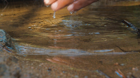 实拍雨季森林泉水小溪水面倒影水滴滴落视频