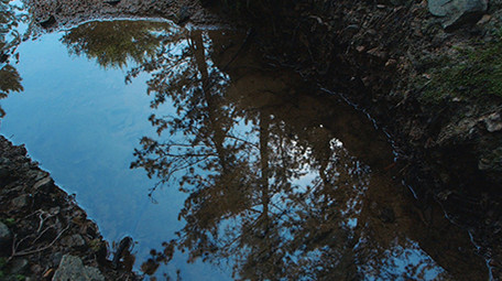 实拍雨季森林泉水小溪水面倒影水滴滴落视频