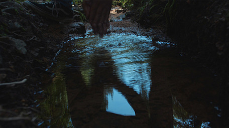 实拍雨季森林泉水小溪水面倒影水滴滴落视频