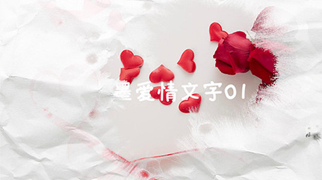 浪漫水墨图文写真展示PR模板