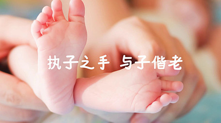 浪漫水墨图文写真展示PR模板