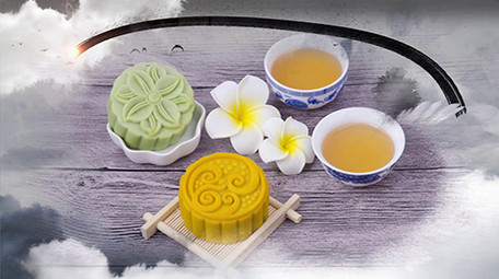 优雅中秋水墨图文相册pr模板