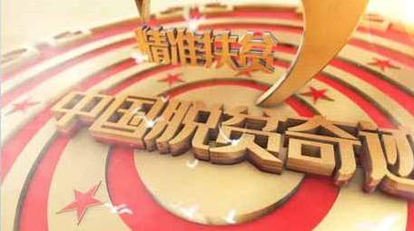 中国扶贫E3D片头金色图文展示AE模板