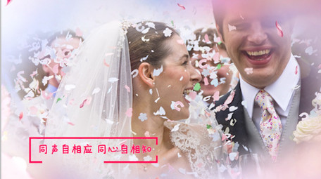 爱情七夕水墨图文相册PR模板