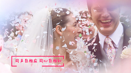 爱情七夕水墨图文相册PR模板