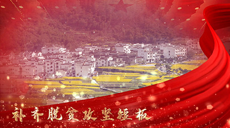 红色党政脱贫攻坚战图文展示AE模板