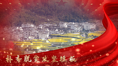 红色党政脱贫攻坚战图文展示AE模板