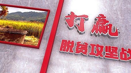 室内效果三维空间精准扶贫党建图文模板