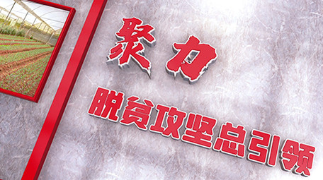 室内效果三维空间精准扶贫党建图文模板