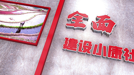 室内效果三维空间精准扶贫党建图文模板