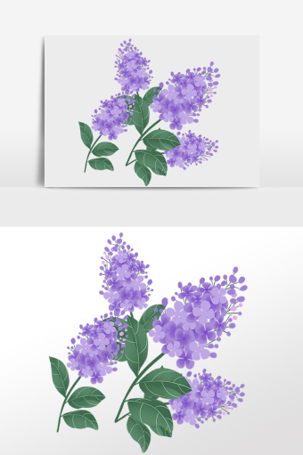 12m,素材类型为无,浏览本次作品的用户还可能对丁香花,花,花朵,花卉