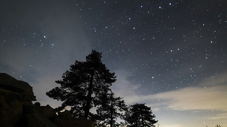 星空下安徽黄山松延时