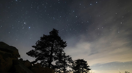 星空下安徽黄山松延时