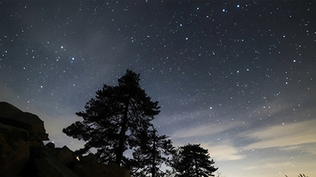 星空下安徽黄山松延时