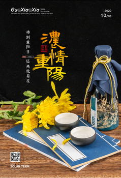 简约中国传统节日重阳节菊花酒海报