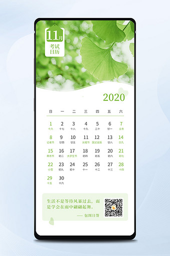 清新绿色银杏树叶11月日历手机海报图片