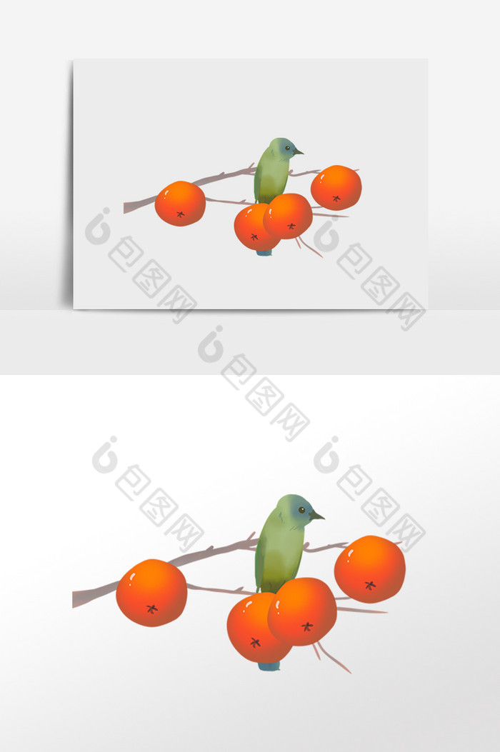 霜降小柿子鸟和柿子图片图片