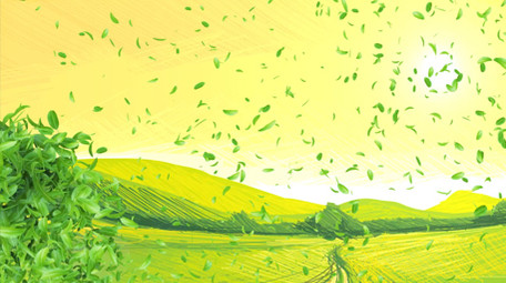 春天小清新片头片尾