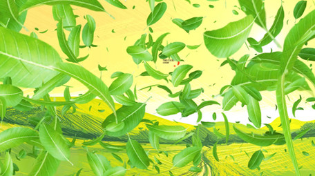 春天小清新片头片尾